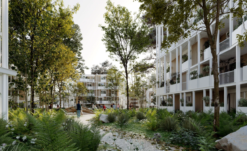 La circulation dans le quartier, les futurs services et commerces